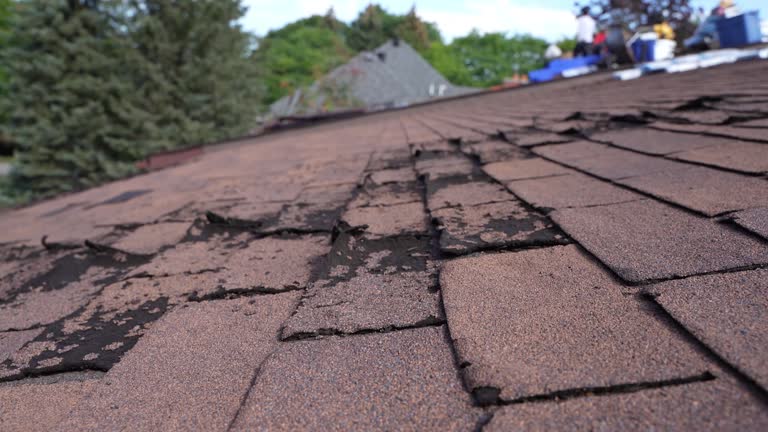 Best Storm Damage Roof Repair  in Parsons, WV