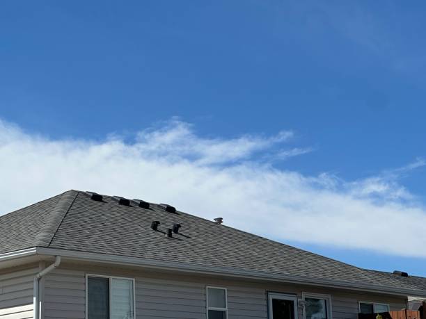 Best Metal Roofing Installation  in Parsons, WV